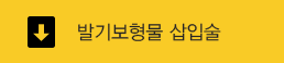 발기보형물 삽입술